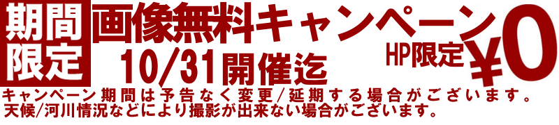 picfree2.png(81753 byte)